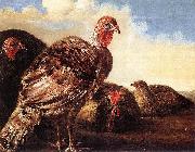 CUYP, Aelbert Domestic Fowl oil painting artist